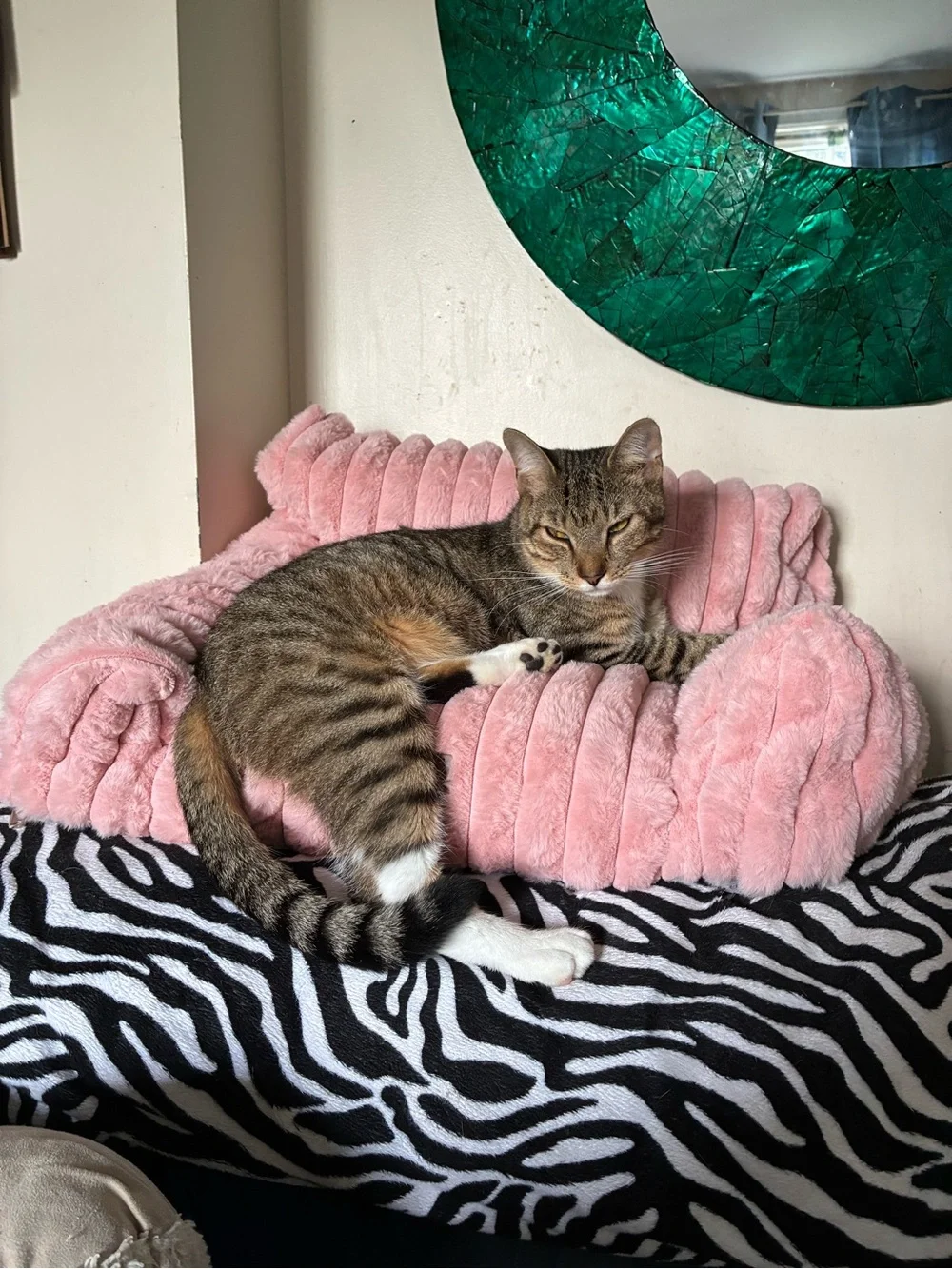 🩷 Cozy Ultra-Soft Faux Fur Cat Sofa Bed - Pink